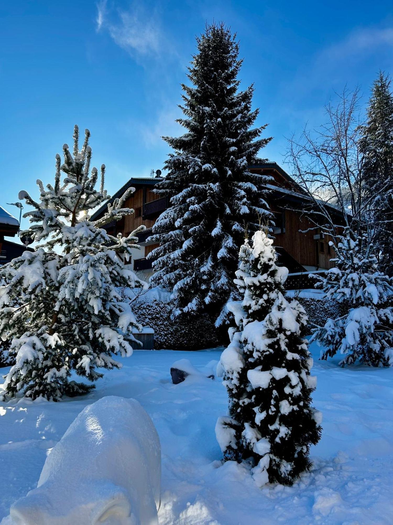 Bel'alpe 3*
