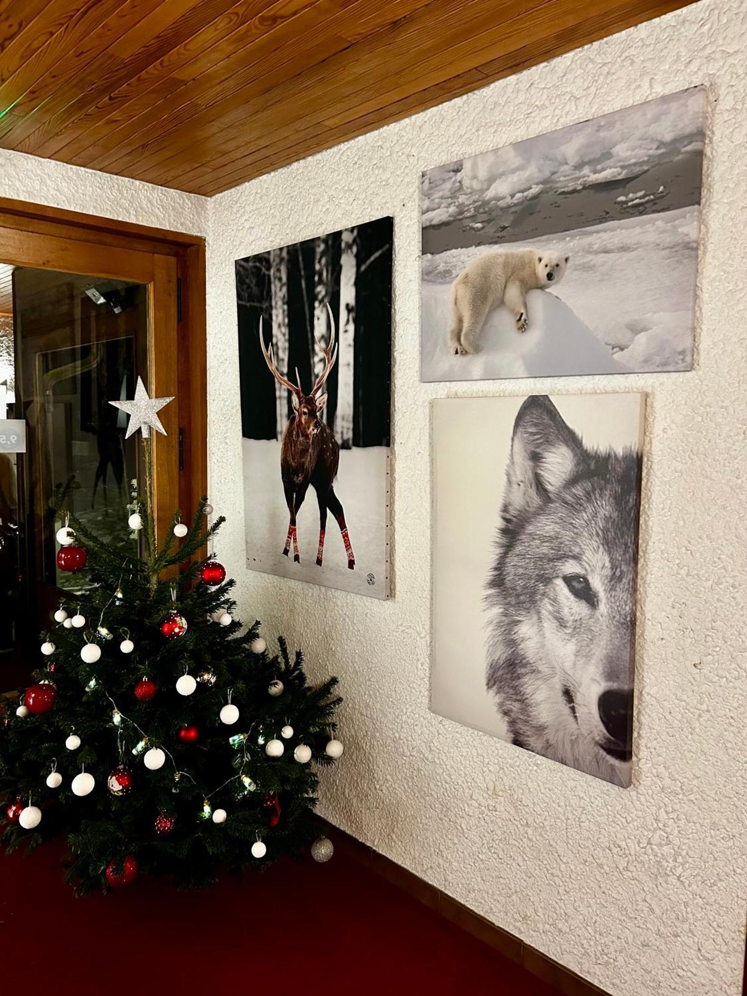 Bel'alpe Hotel